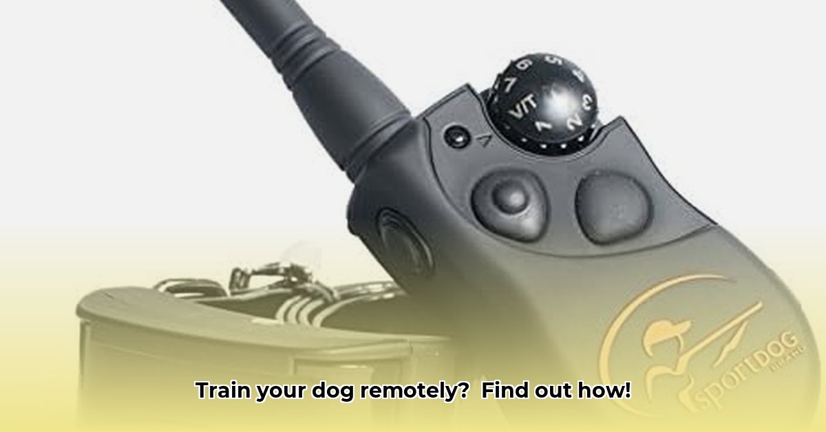 remote-training-collar-tractor-supply